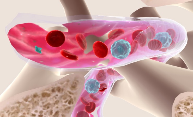 Stati delle cellule (Canva) - systemscue.it