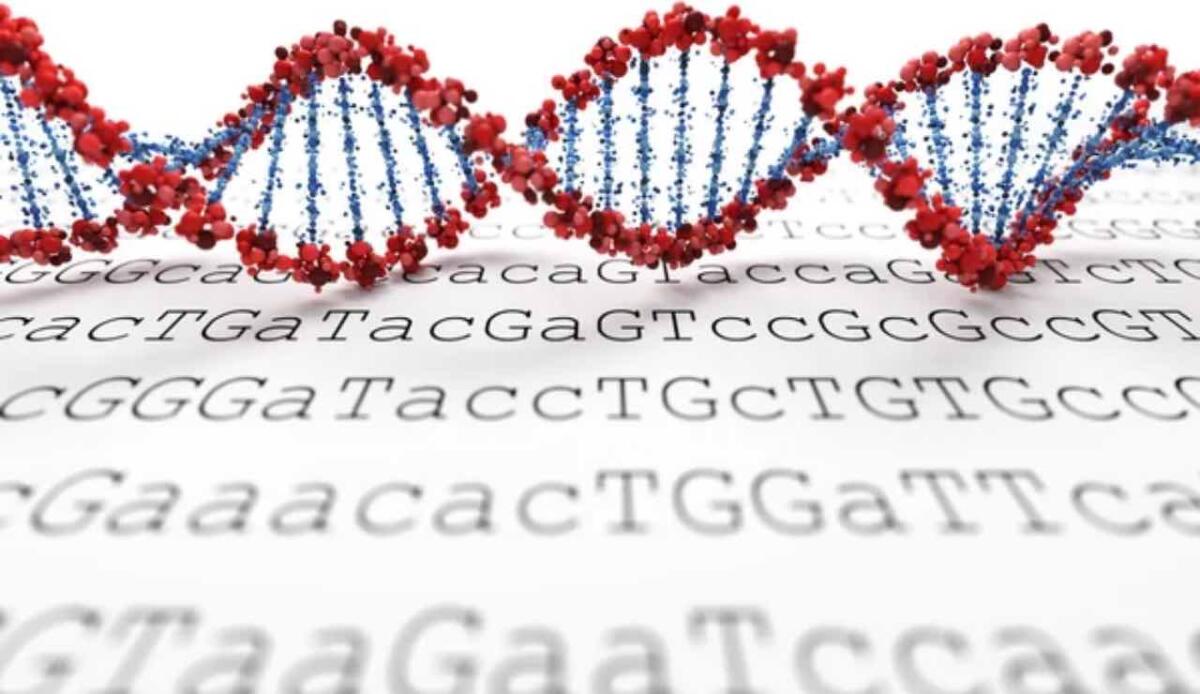 Dalla selezione alla distruzione: come i "geni egoisti" si tramandano a scapito dell’organismo - Genetica (Depositphotos foto) - www.sciencecue.it