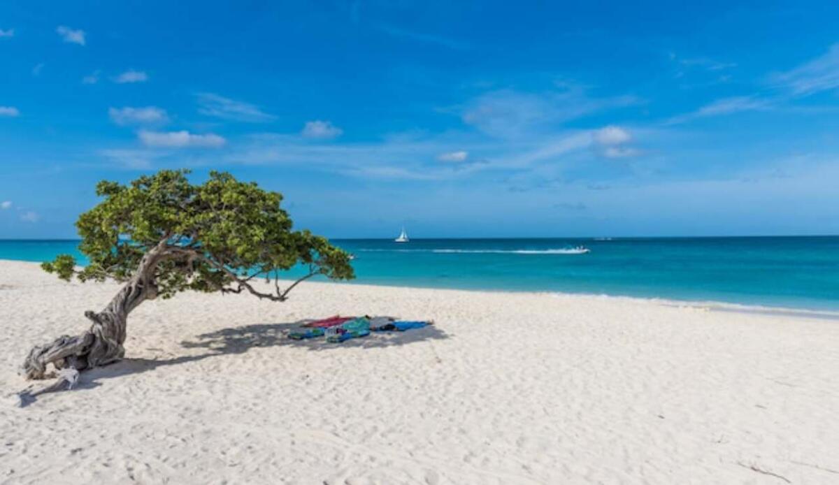 Vacanze estive a contatto con gli animali | Qui nuoti con cavalli e maiali e prendi il sole con i fenicotteri - Queste isole sono da sogno, veri paradisi terrestri (Freepik Foto) - www.marinecue.it