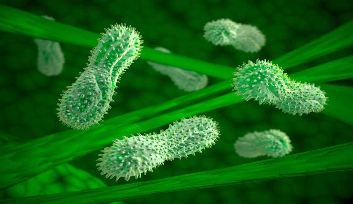 Respiravano senza ossigeno: scoperto il meccanismo usato da microrganismi 3 miliardi di anni fa - Un meccanismo primordiale (depositphotos.com) - www.sciencecue.it