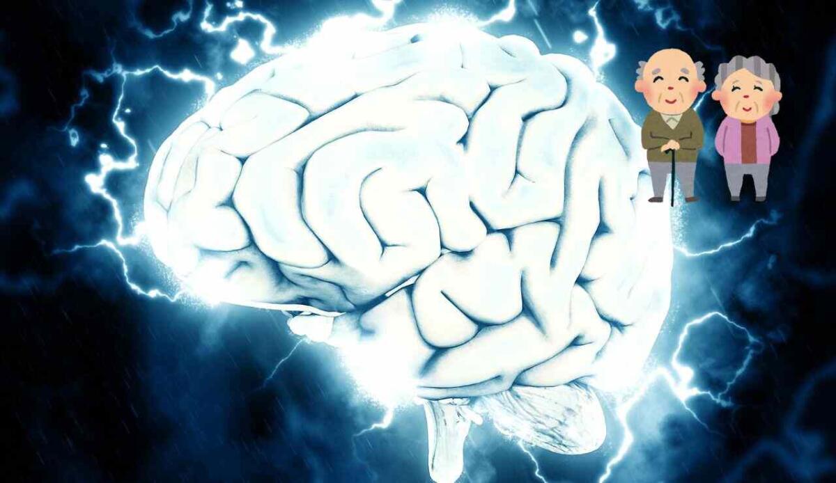 Il cervello migliora con l’età: le capacità cognitive aumentano fino ai 40 anni e oltre - Cervello anziani (Canva Foto) - www.biomedicalcue.it