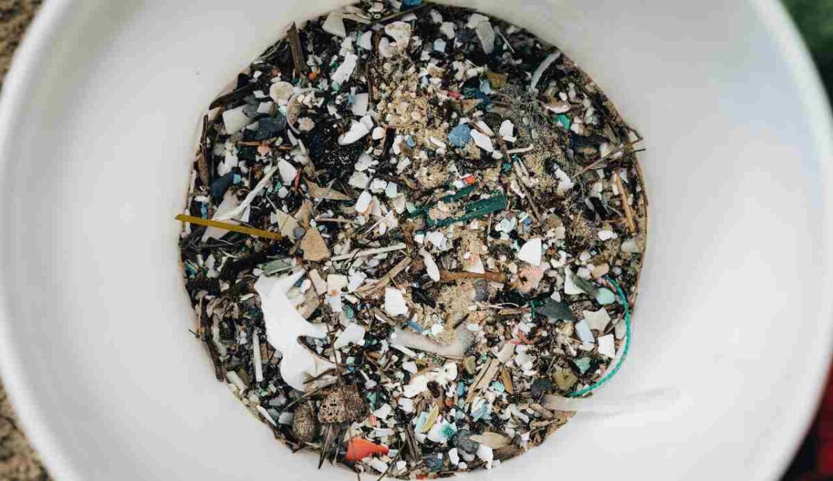 Microplastiche nei polmoni: il segnale d’allarme dagli uccelli sull’aria che respiriamo - Illustrazione delle microplastiche (Pexels FOTO) - www.energycue.it