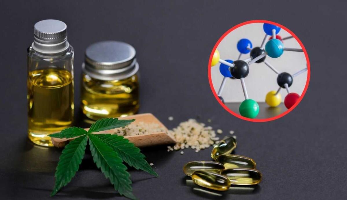 Cannabis terapeutica: scoperta una molecola che riduce il dolore senza creare dipendenza - Le molecole della cannabis (Canva Foto) - www.biomedicalcue.it