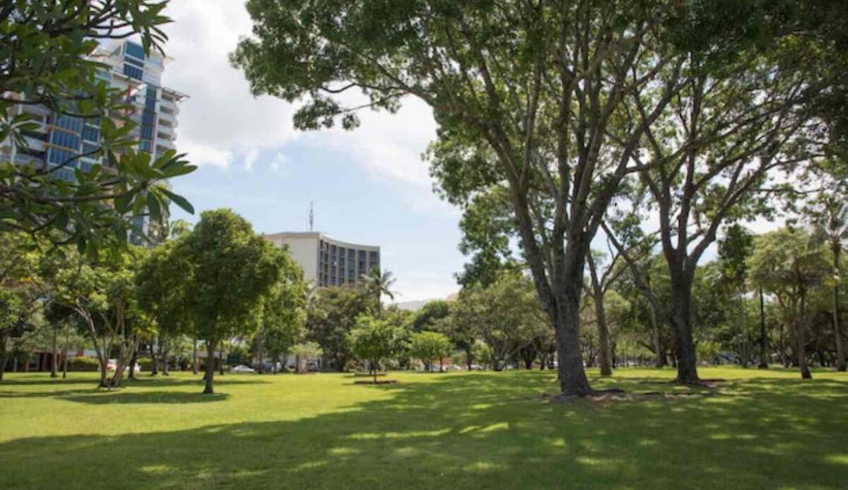 Alberi urbani contro il caldo: rinfrescano le città, ma solo se ben curati - Alberi urbani, ecco come aiutano l'ambiente (Freepik Foto) - www.energycue.it