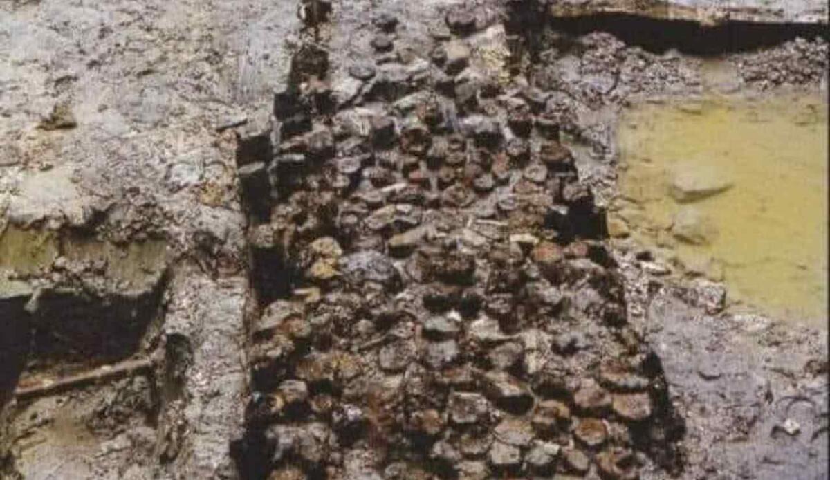 Legno e acqua, ma senza marciume: il segreto nascosto nelle fondamenta di Venezia - Venezia è costruita in questo modo incredibile (YouTube Foto) - www.buildingcue.it