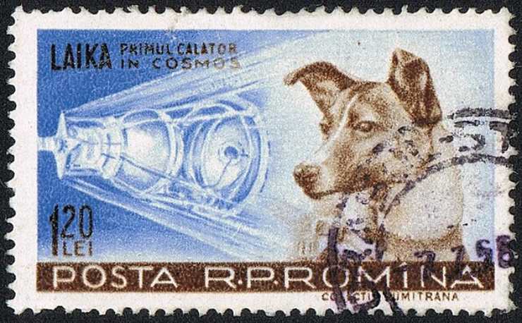 Francobollo dedicato a Laika (Wikimedia Commons) - www.aerospacecue.it