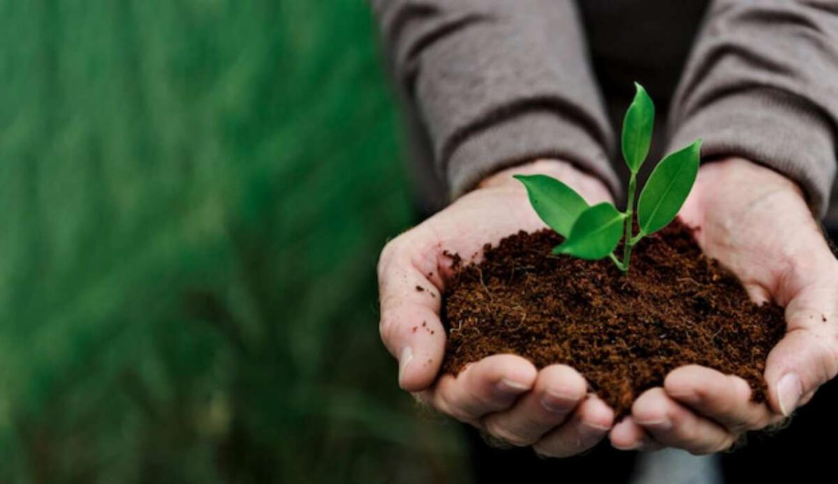 Agricoltura sostenibile: la ricerca sui tetranini apre a nuove tecniche di difesa naturale - Agricoltura sostenibile, ecco le soluzioni (Freepik Foto) - www.energycue.it