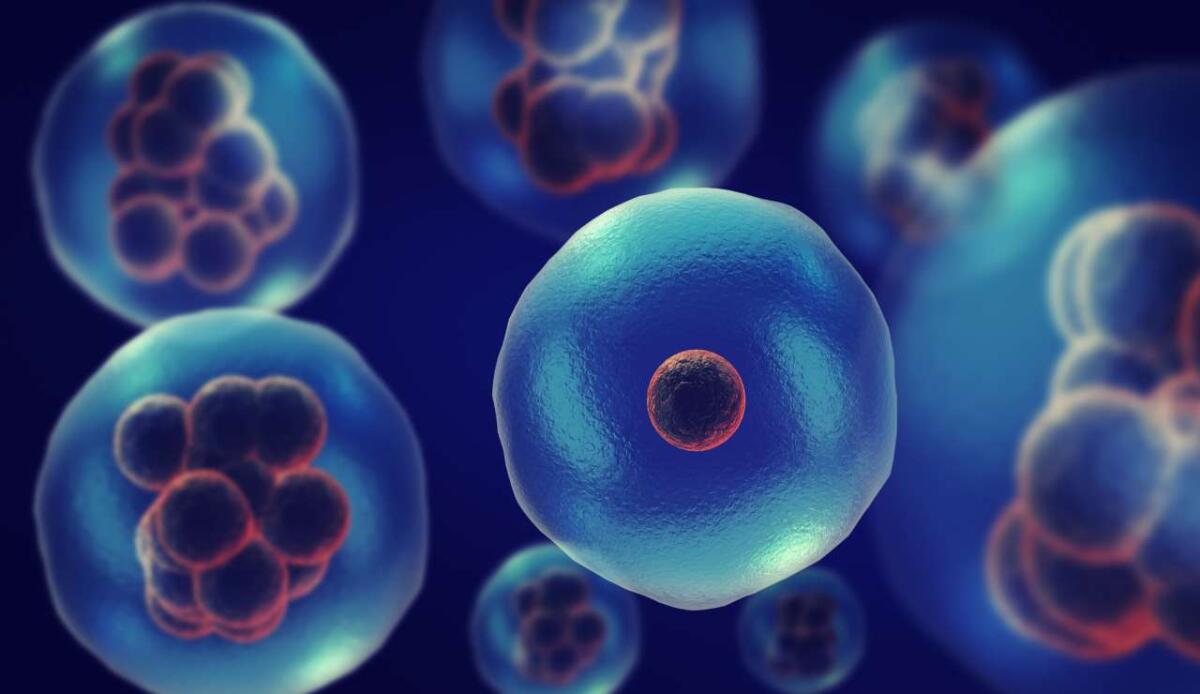 Scoperta la regola d’oro tra le cellule: vince chi esercita più forza - Anche loro lottano! (depositphotos.com) - www.sciencecue.it