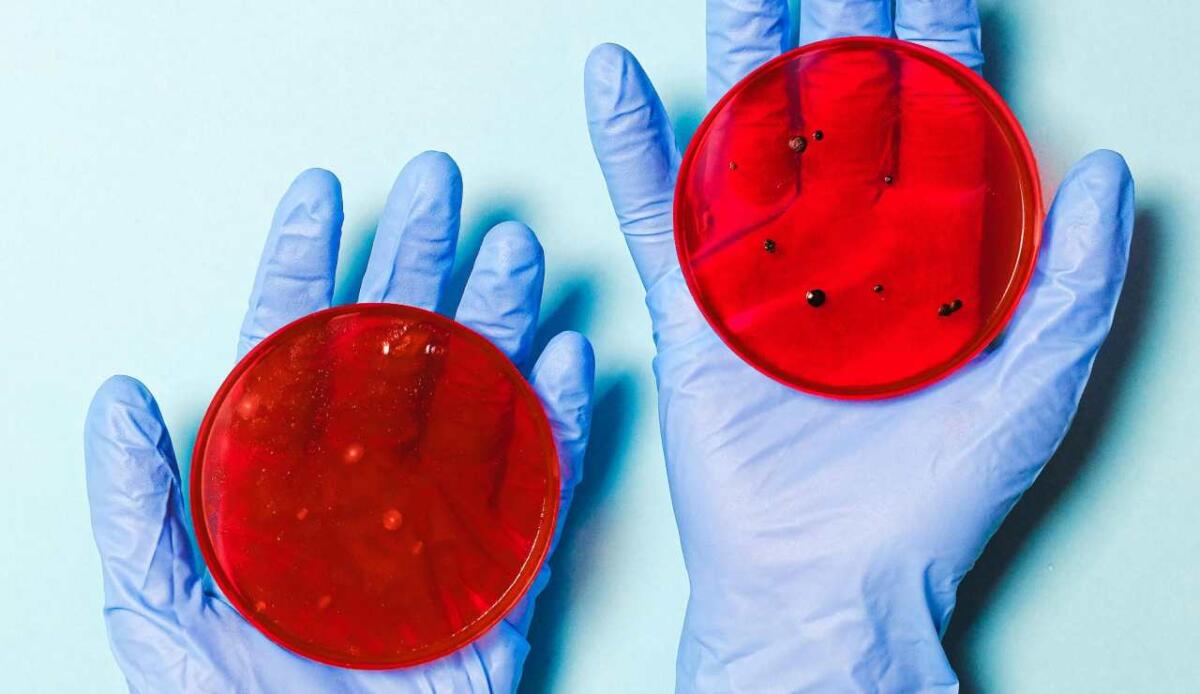 Scoperte 26 nuove specie di batteri in una "clean-room" della NASA - 