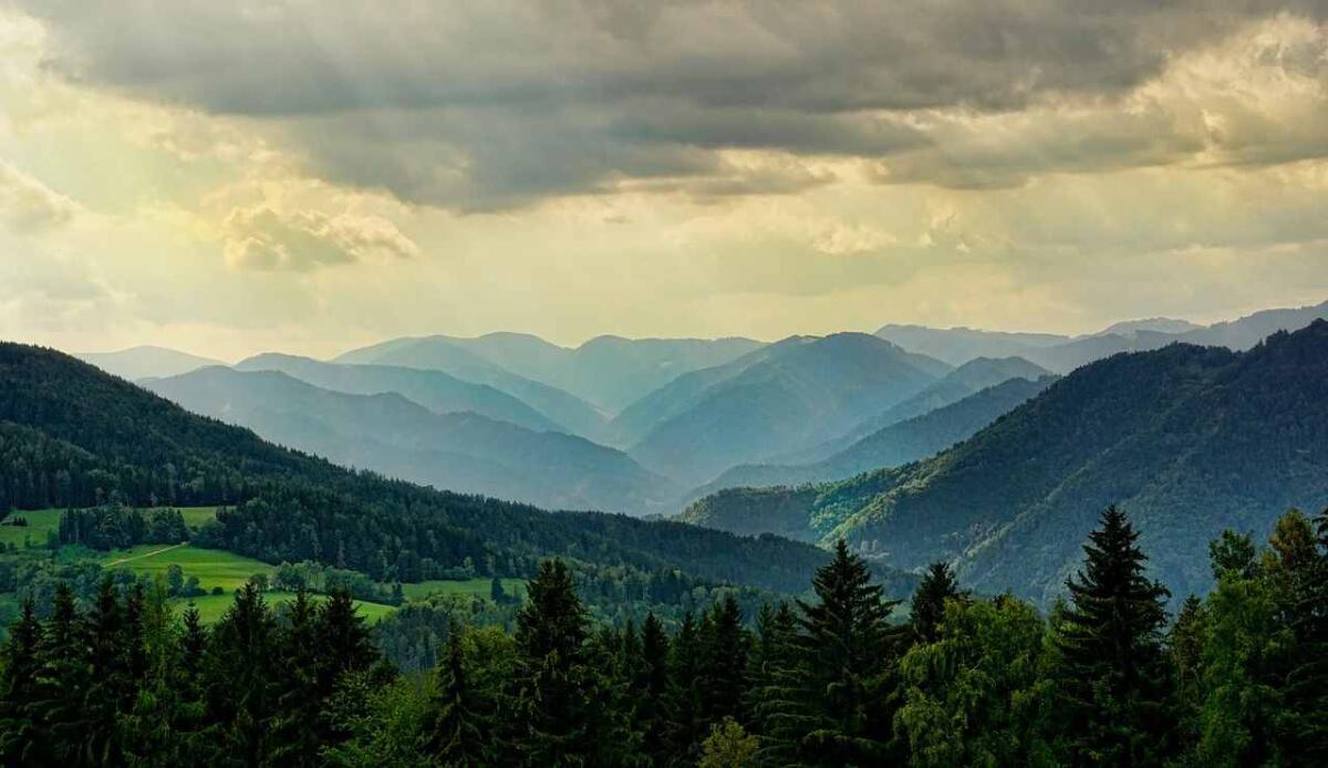 Meglio una grande foresta che tante (e piccole): risolto un dibattito lungo 50 anni sulla conservazione - Illustrazione di una località montana (Pixabay FOTO) - www.sciencecue.it