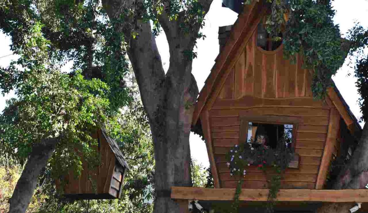 Case sull’albero: come progettare e costruire la tua TreeHouse ecosostenibile - Case sull'albero illustrazione (Canva foto) - www.buildingcue.it
