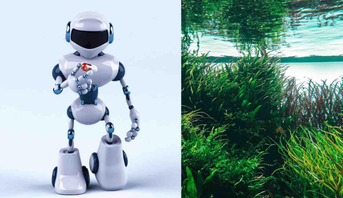 Nuovi microrobot ispirati alle alghe: possono nuotare in spazi strettissimi - Micro robot somiglianti alle alghe (Canva) - systemscue.it