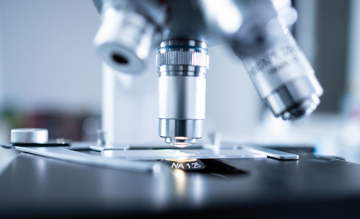 Il ruolo inaspettato dei batteri (pexels.com) - www.biomedicalcue.it