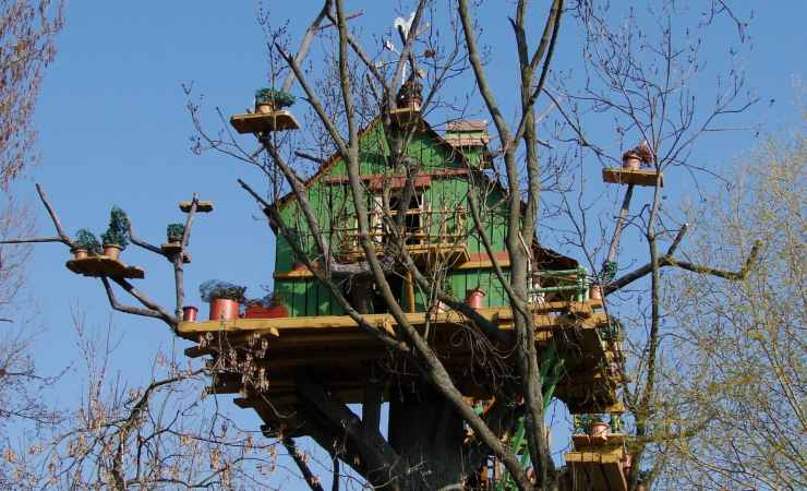 Casa sull'albero costruzione (Canva foto) - www.buildingcue.it