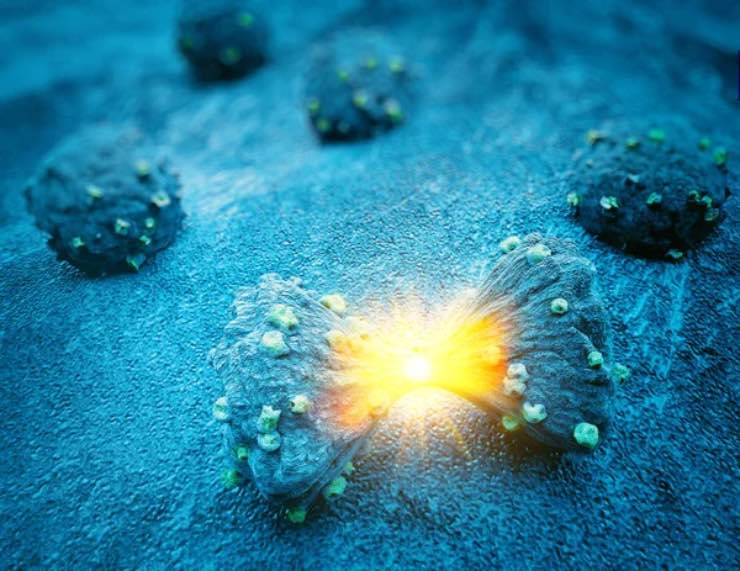 Cellula tumorale che si divide (Depositphotos foto) - www.biomedicalcue.it