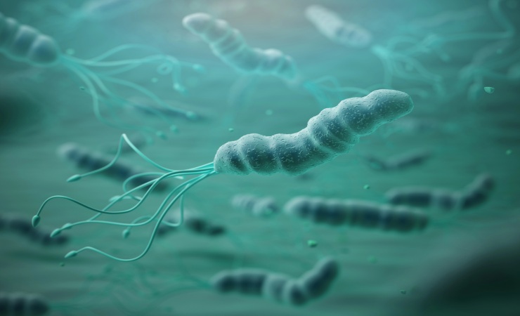 Possibile correlazione tra cancro e regionalità (depositphotos.com) - www.biomedicalcue.it