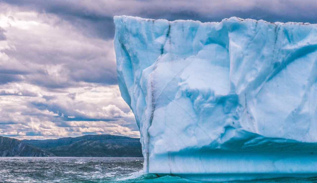 Da dove arriva la vita nei canyon sottomarini dell’Antartide? Un nuovo studio svela le origini della biodiversità abissale - Illustrazione dell'Antartide (Canva FOTO) - marinecue.it