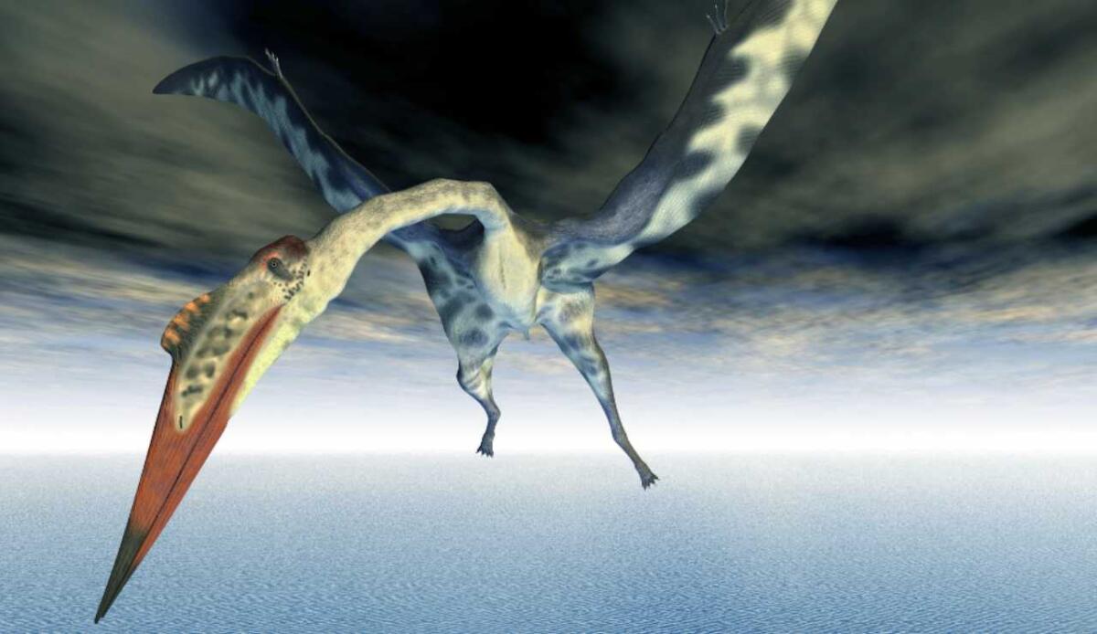 Scoperta in Giappone una nuova specie di pterosauro: un esemplare unico con caratteristiche mai viste prima - Illustrazione di uno pterosauro (Canva FOTO) - sciencecue.it
