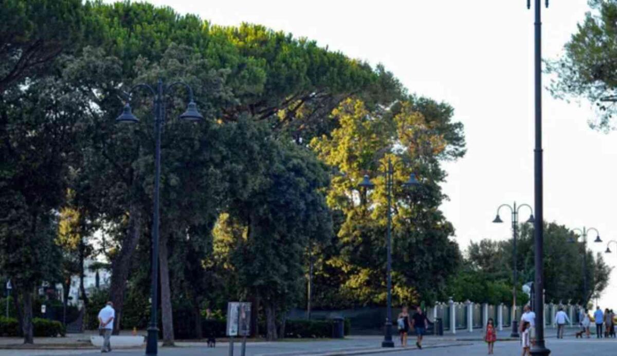 L’inquinamento luminoso prolunga la stagione vegetativa delle piante urbane fino a tre settimane in più rispetto alle campagne - Alberi in città (Depositphotos foto) - www.energycue.it
