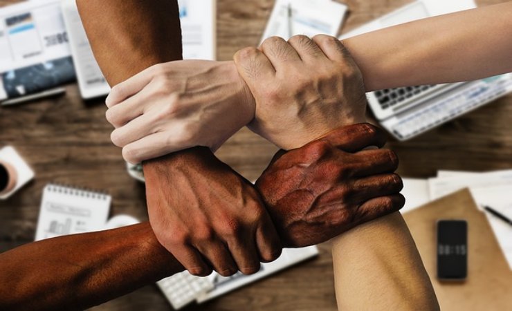 I risultati sono stati sorprendenti (pixabay.com) - www.managementcue.it