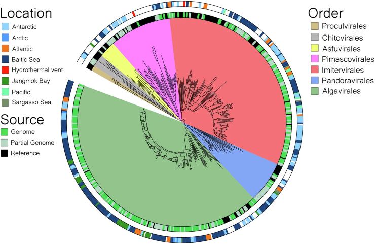 Illustrazione degli ordini e delle località studiate (Minch et al., 2025) - marinecue.it
