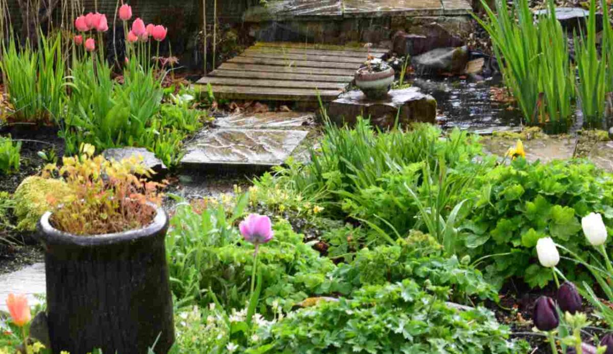 Progettare giardini resilienti tra siccità e pioggia nel clima che cambia - Illustrazione di un giardino resiliente (Canva FOTO) - buildingcue.it