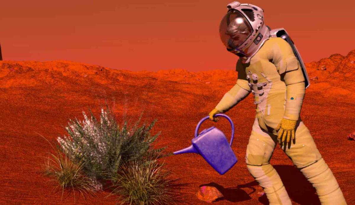 Insediamenti umani su Marte: le bioplastiche da alghe aprono la strada a habitat autosufficienti - Illustrazione di una coltivazione su Marte (Canva FOTO) - buildingcue.it