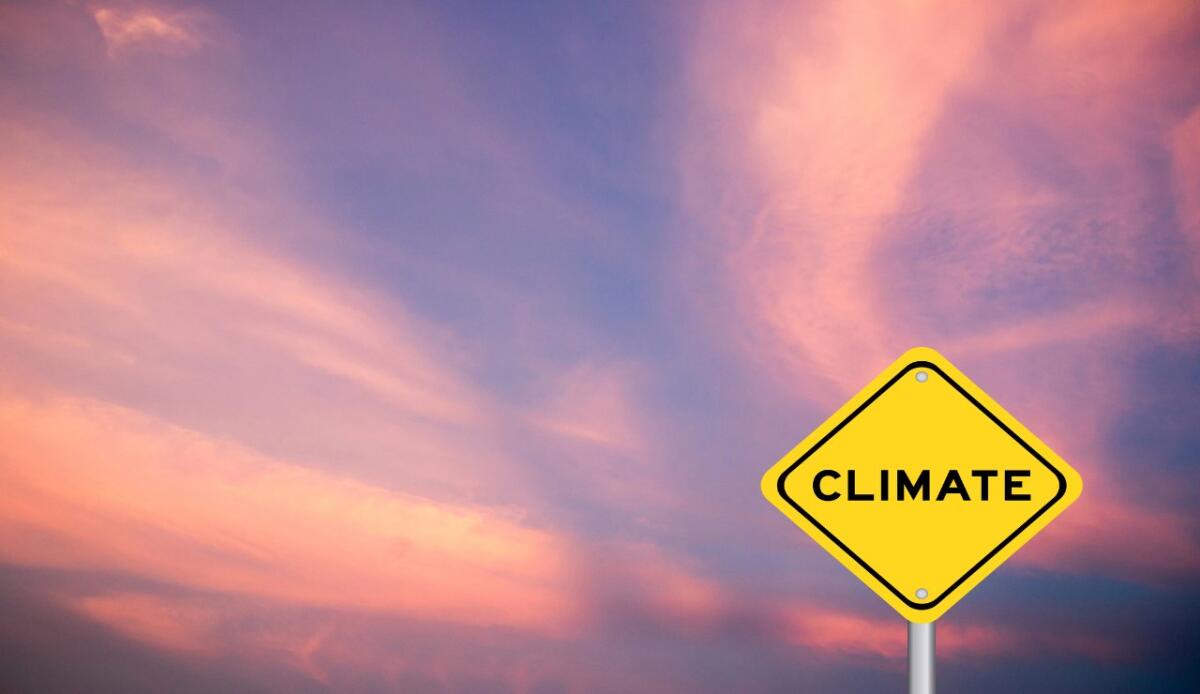 Le foreste non tengono il passo del clima: servono interventi umani per salvarle - Velocità impari (depositphotos.com) - www.energycue.it