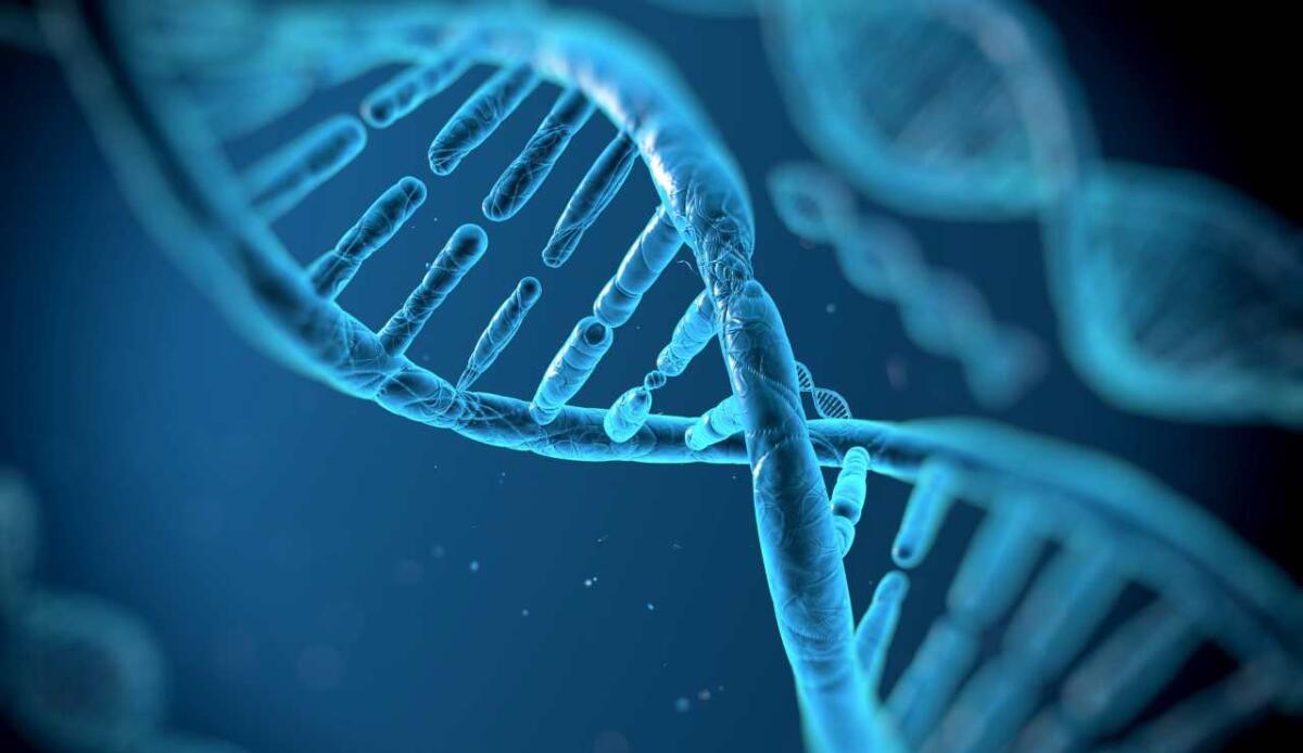 AlphaGenome, AI rivoluzionaria per interpretare la parte ignota del nostro genoma e individuare rischi di cancro - DNA, l'IA AlphaGenome aiuta a "leggerlo" (DepositPhotos) - SystemsCUE