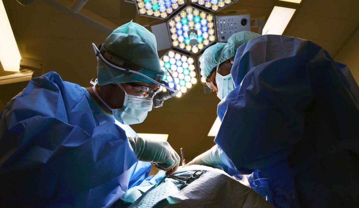 Genova, separate con successo le gemelle siamesi del Burkina Faso: ora respirano da sole al Gaslini - Illustrazione di un'operazione chirurgica (Pixabay FOTO) - biomedicalcue.it
