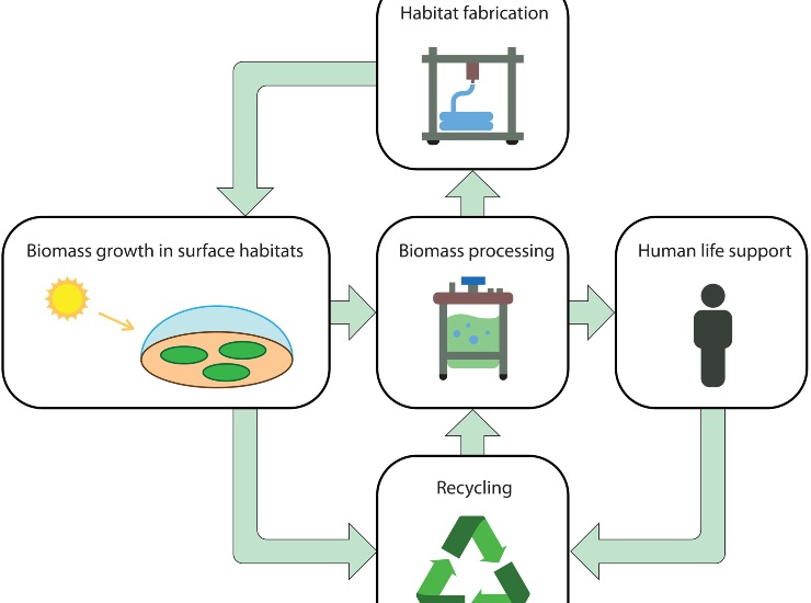 Illustrazione semplificata del processo (Robin Wordsworth et al., 2025 FOTO) - buildingcue.it