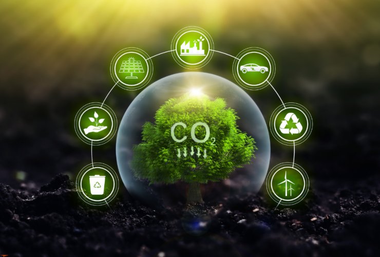 Illustrazione che riporta metodi per ridurre la CO2 (Canva FOTO) - marinecue.it