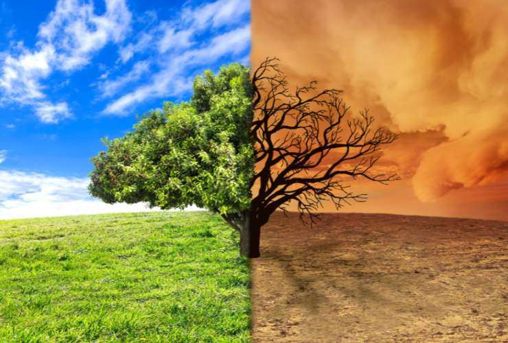 Illustrazione dei cambiamenti climatici (Canva FOTO) - buildingcue.it