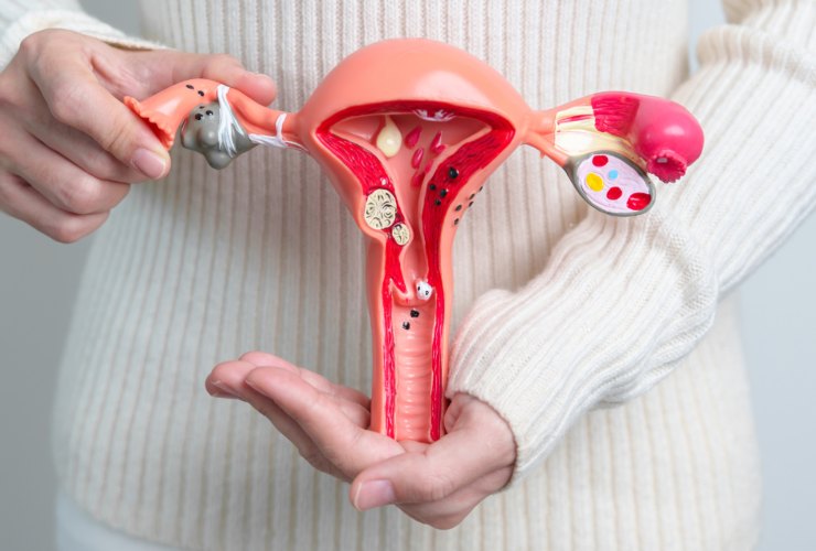 Illustrazione di un modello (Canva FOTO) - biomedicalcue.it