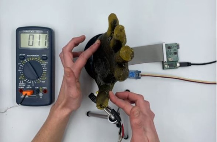 Protesi mano test (YouTube Science X screenshot) - www.systemscue.it