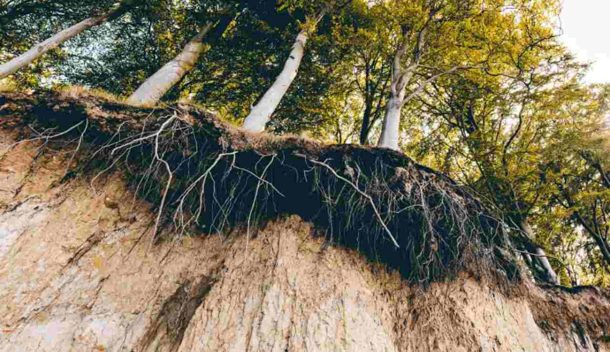 Alpi sempre più fragili: l’uomo ha accelerato l’erosione del suolo fino a 10 volte - Illustrazione di una montagna in erosione (Canva FOTO) - energycue.it