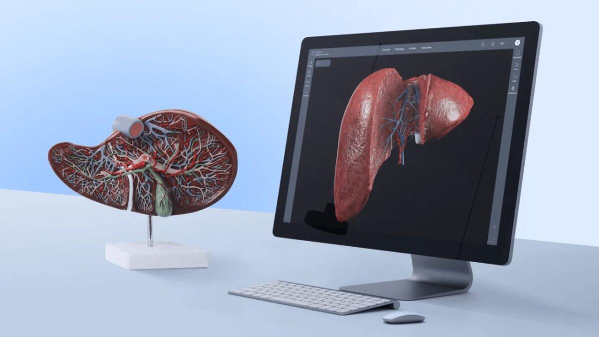 Esplorazione dei sistemi del corpo umano tramite modelli 3D - Voka 3D Anatomy &amp; Pathology, le origine: Voka.io