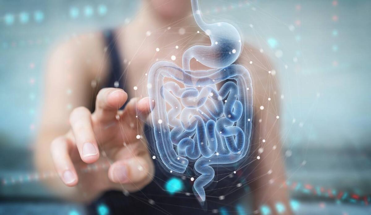 Scoperta la connessione diretta tra cervello e microbioma intestinale - Il "vero" cervello (depositphotos.com) - www.biomedicalcue.it