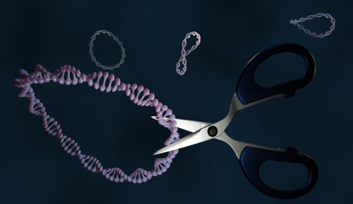 Corrette per la prima volta mutazioni genetiche direttamente nel cervello - Per la prima volta (depositphotos.com) - www.biomedicalcue.it