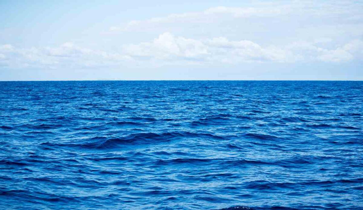 Le ondate di calore marino rimodellano la vita negli oceani tra rischio e adattamento - Un fenomeno in crescita (depositphotos.com) - www.marinecue.it