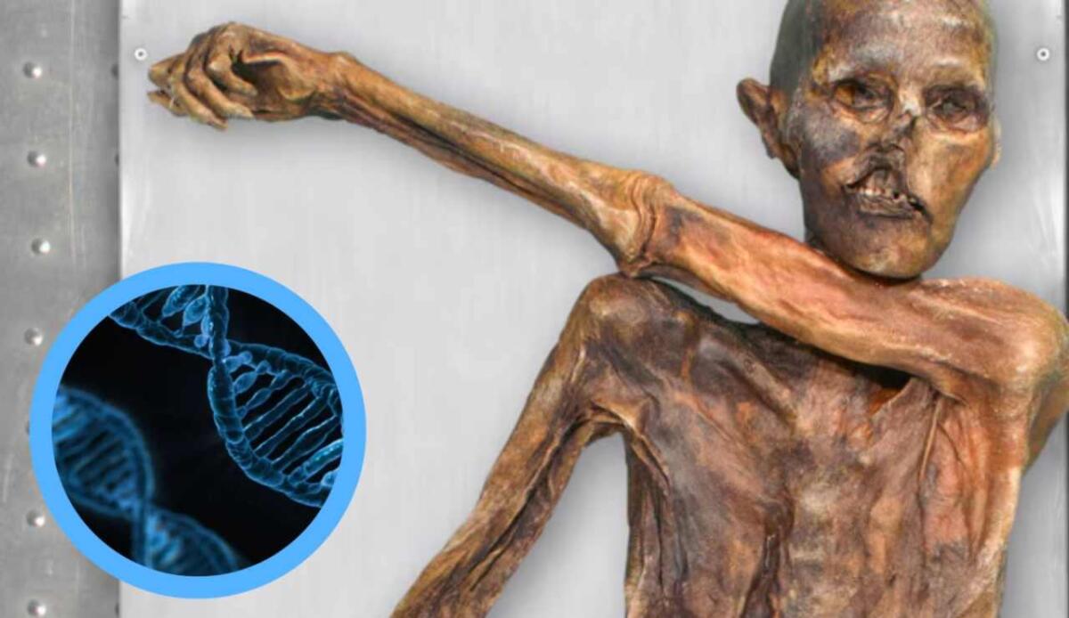 Ötzi, un caso unico: il suo Dna non coincide con nessun altro vissuto nelle Alpi - Lo strano DNA di Otzi (Canva-Alimentarium foto) - www.sciencecue.it
