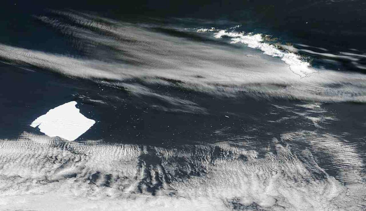 Dopo 40 anni, A23a non è più il più grande iceberg del mondo: il cambiamento climatico accelera il declino - Illustrazione di A23a (MODIS Land Rapid Response Team, NASA GSFC FOTO) - marinecue.it