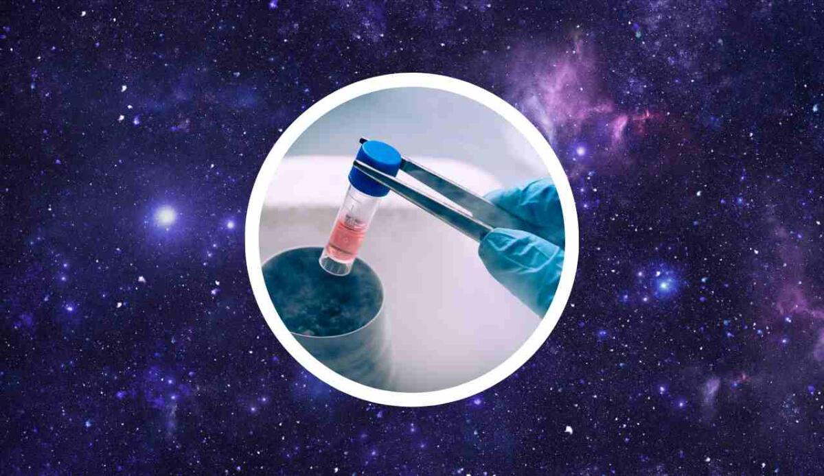Lo spazio accelera l’invecchiamento delle cellule staminali umane: la scoperta della UC San Diego - Cellule staminali e spazio (Canva foto) - www.biomedicalcue.it