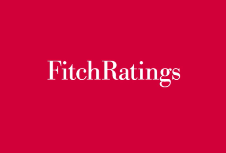 Fitch Ratings (screenshot fitchratings.com) - managementcue.it
