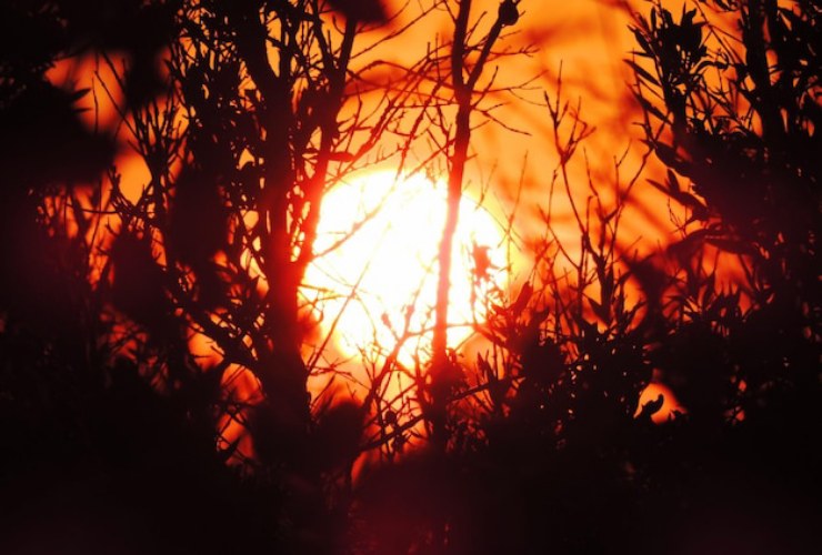 Il sole svela i suoi segreti, ecco come (Freepik Foto) - www.aerospacecue.it