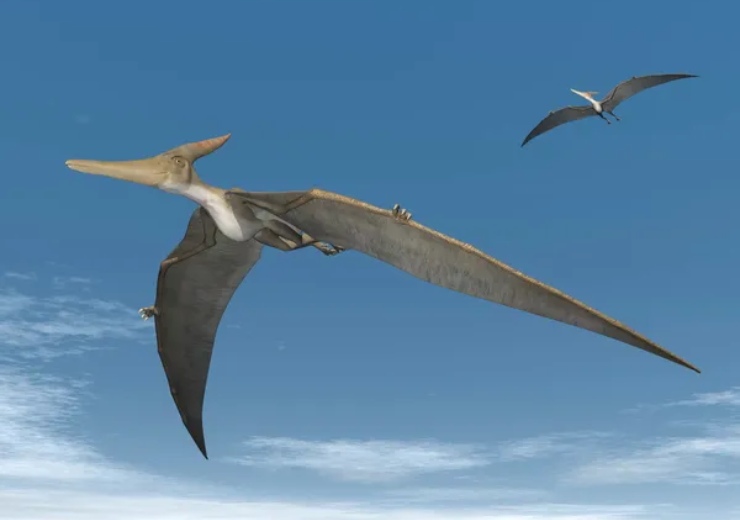 Illustrazione di due pterosauri (Depositphotos foto) - www.sciencecue.it