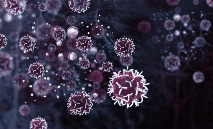 Cellule tumorali nuovo studio (Canva foto) - www.biomedicalcue.it