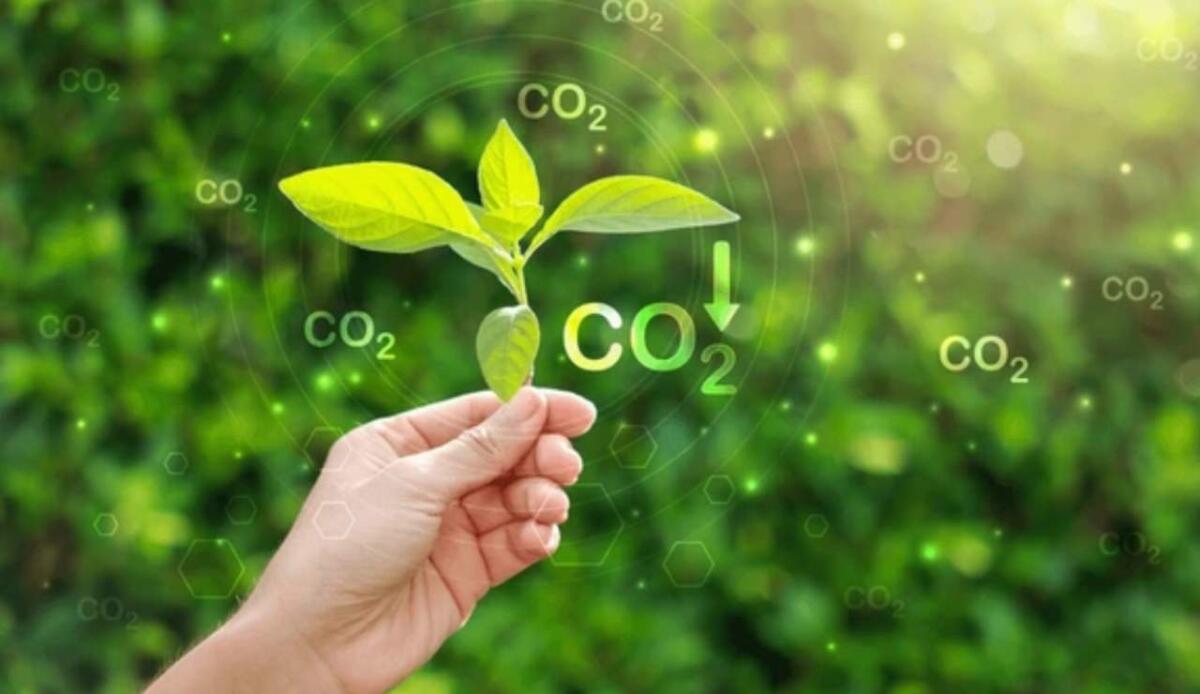 L’usato vale oro: 450mila tonnellate di CO2 risparmiate in Italia nel 2024 - Risparmi sulla CO2 (Shutterstock foto) - www.energycue.it