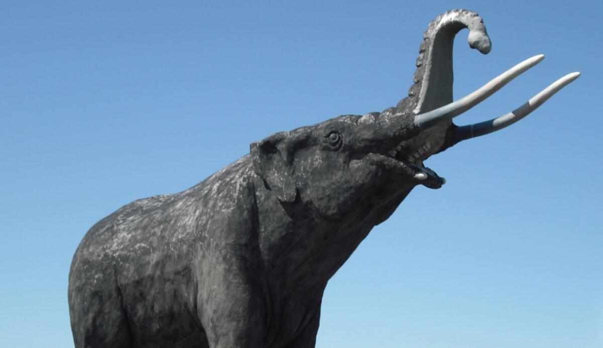 Mastodonti più diversificati e mobili del previsto: così il clima ha influenzato la loro evoluzione - Illustrazione di una statua di un mastodonte (Canva FOTO) - sciencecue.it