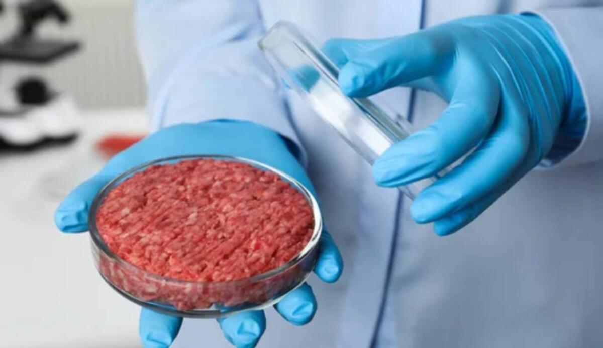 Addio carne tradizionale? Arrivano gli alimenti ibridi tra gusto, nutrizione e ambiente - Carne coltivata in laboratorio (Depositphotos foto) - www.sciencecue.it
